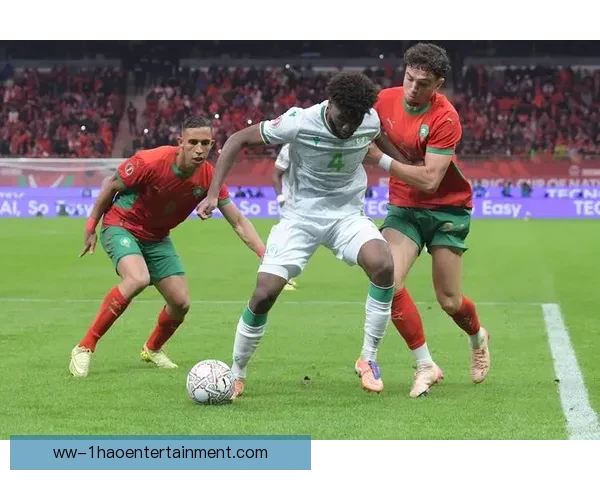 2025非洲杯12月21日盛大开幕豪强争霸谁将问鼎非洲之巅